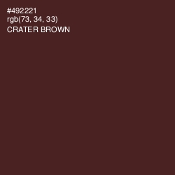#492221 - Crater Brown Color Image